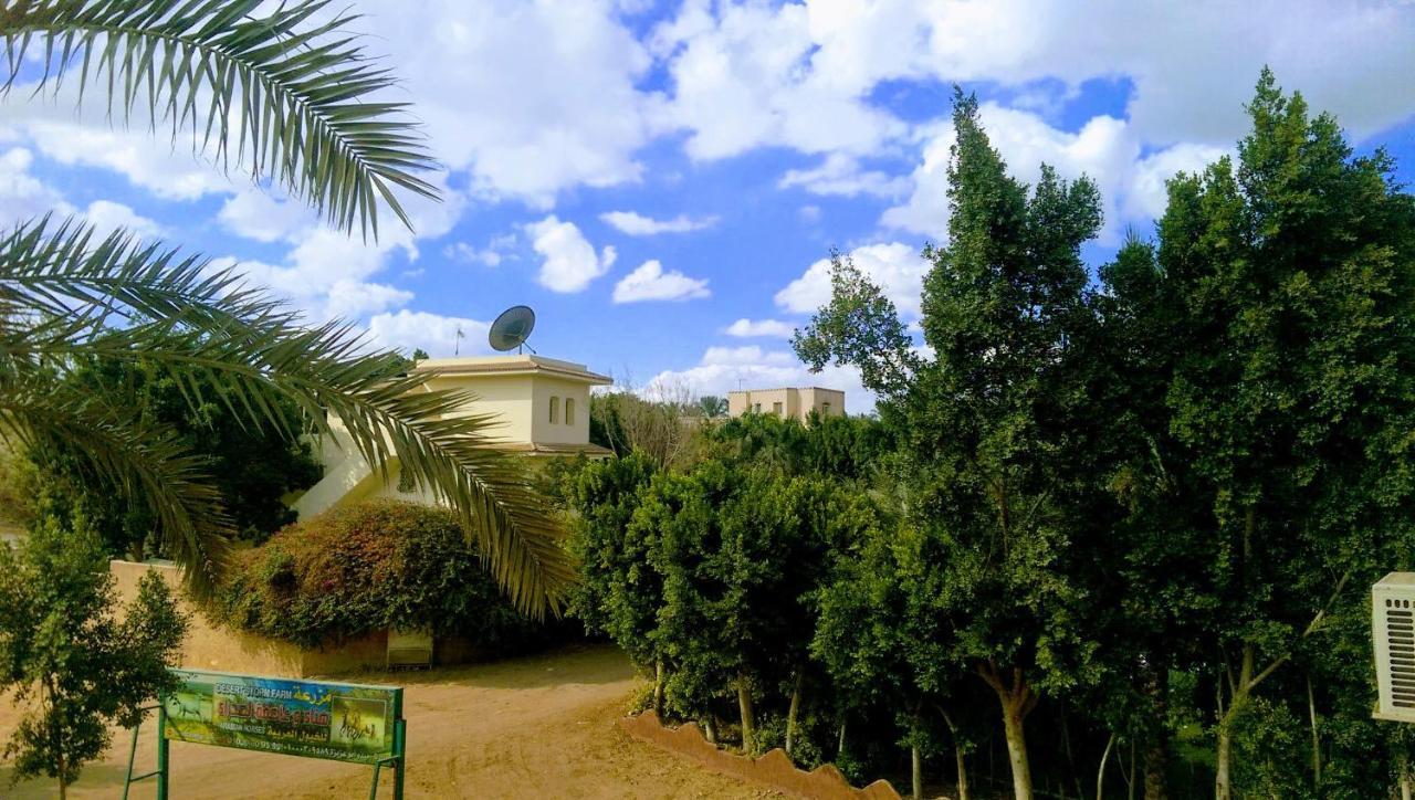 קהיר The Farm - Hotel & Horse Riding מראה חיצוני תמונה