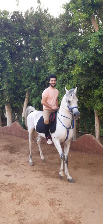 קהיר The Farm - Hotel & Horse Riding מראה חיצוני תמונה
