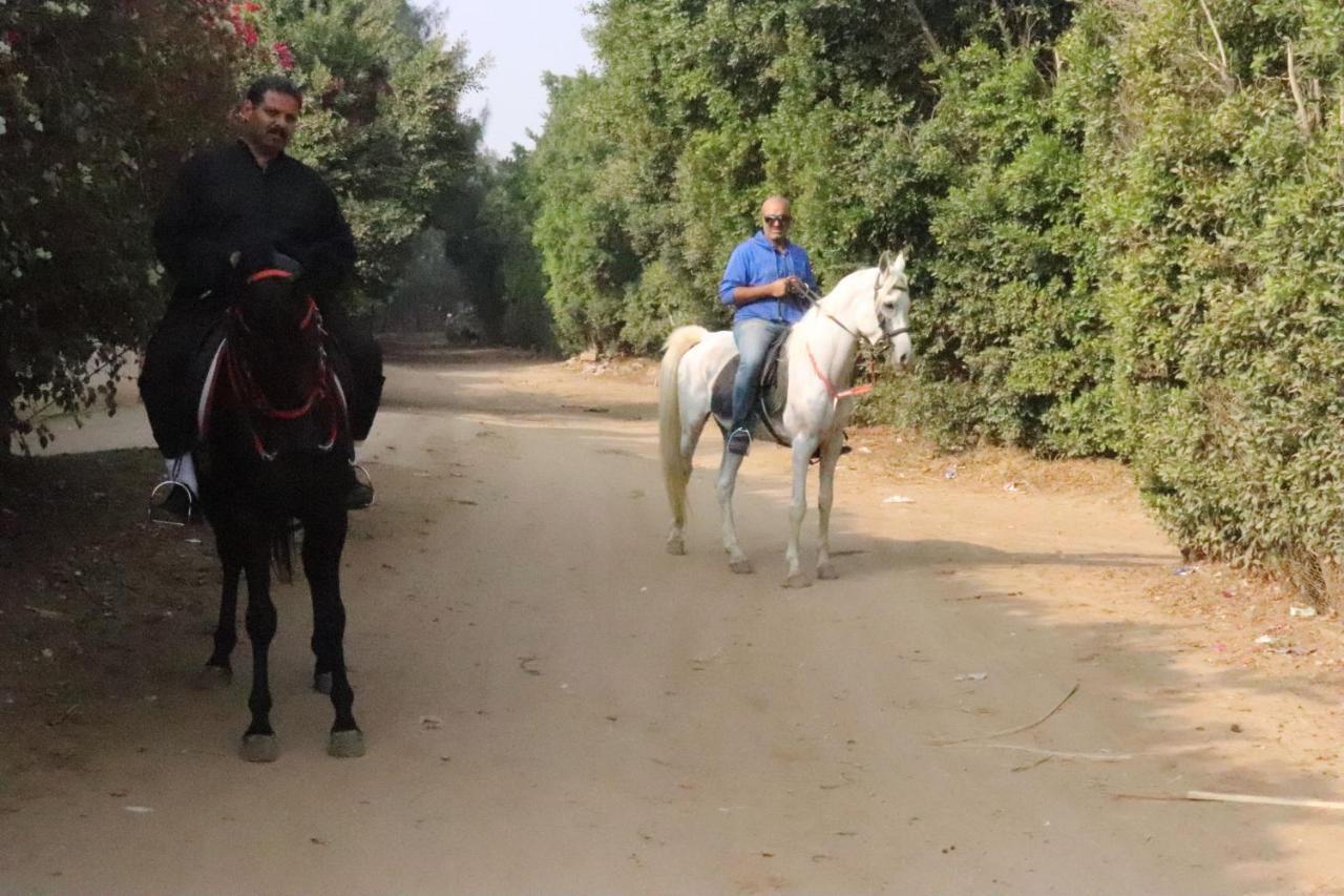 קהיר The Farm - Hotel & Horse Riding מראה חיצוני תמונה