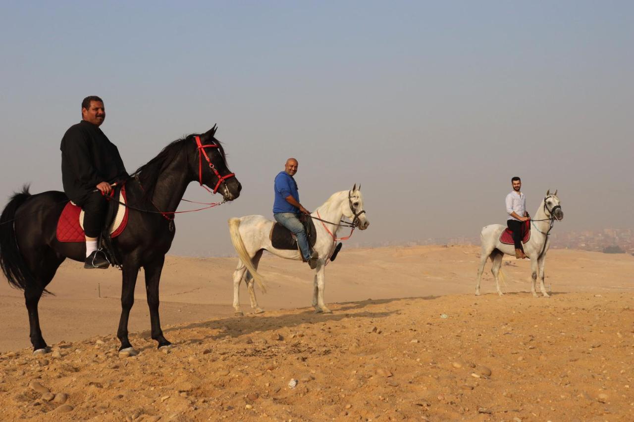 קהיר The Farm - Hotel & Horse Riding מראה חיצוני תמונה