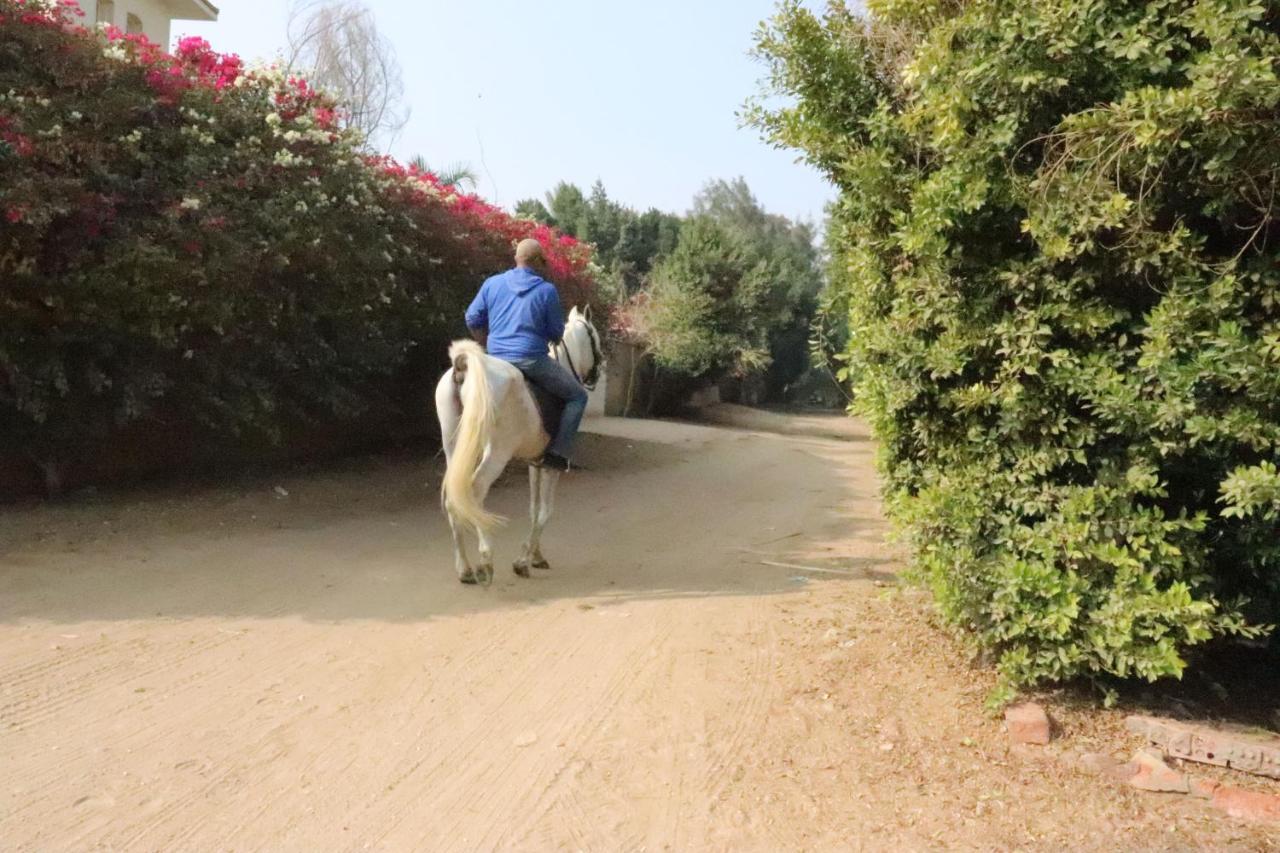 קהיר The Farm - Hotel & Horse Riding מראה חיצוני תמונה